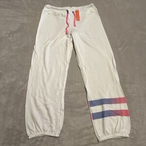 Anthropologie‎ Sundry Ombré Stripe Sweatpants Size Small Pink To Periwinkle NWT